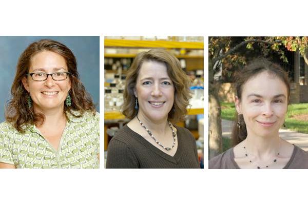 Jane Jackman, Susan Cole, and Anna Dobritsa