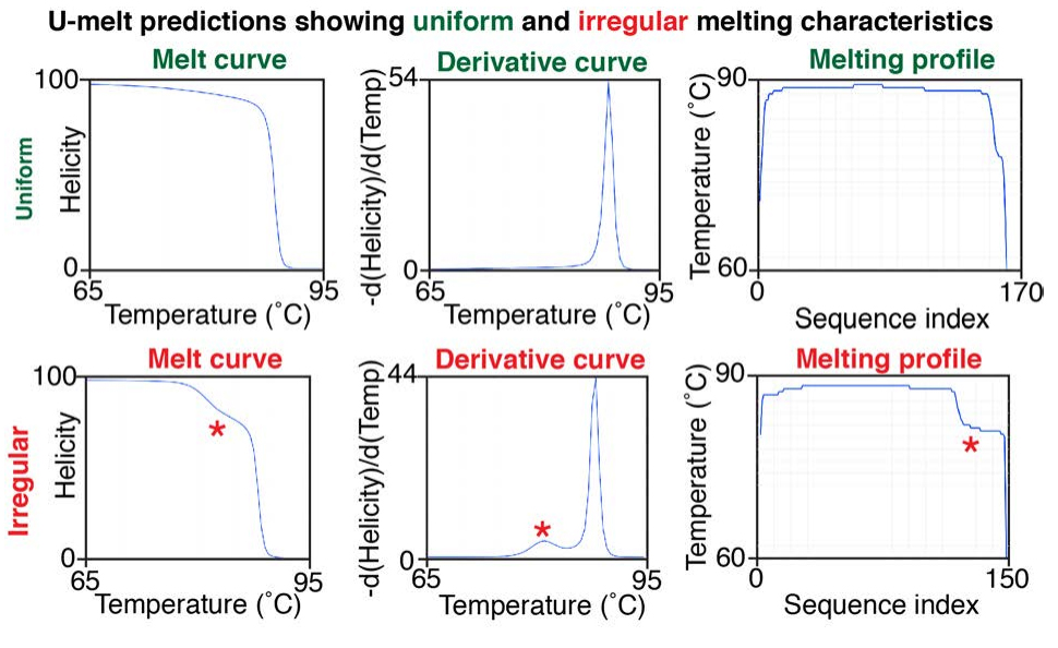 U-melt predictions showing uniform and irregular melting characteristics