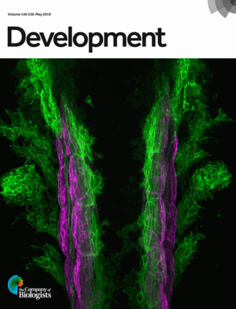 Cover Image Tabot et al at Development website