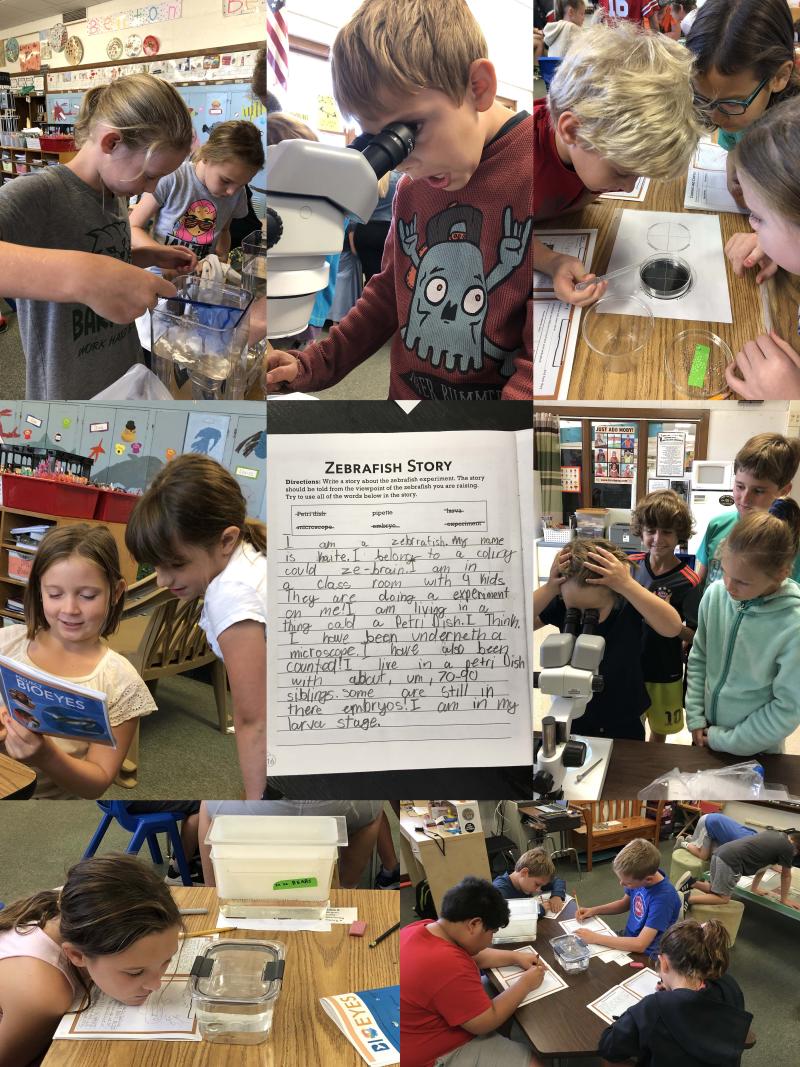 Kids in the BioEYES classroom