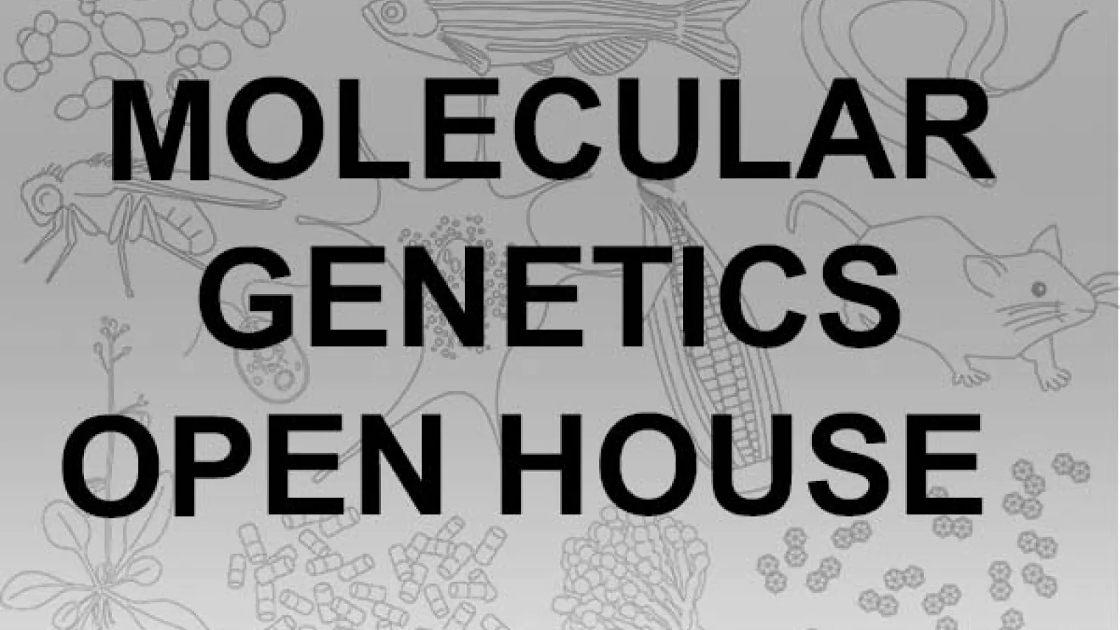 Molgen open house