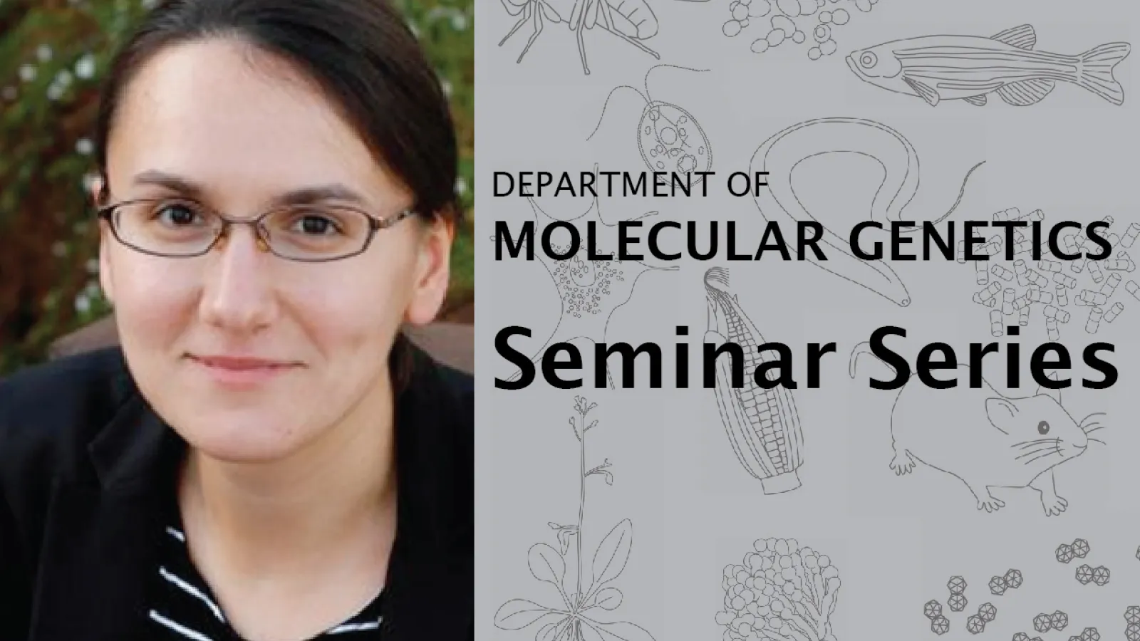 Olena Zhulyn seminar announcement