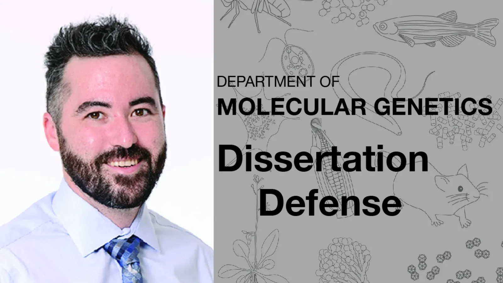 Holub Defense Announcment