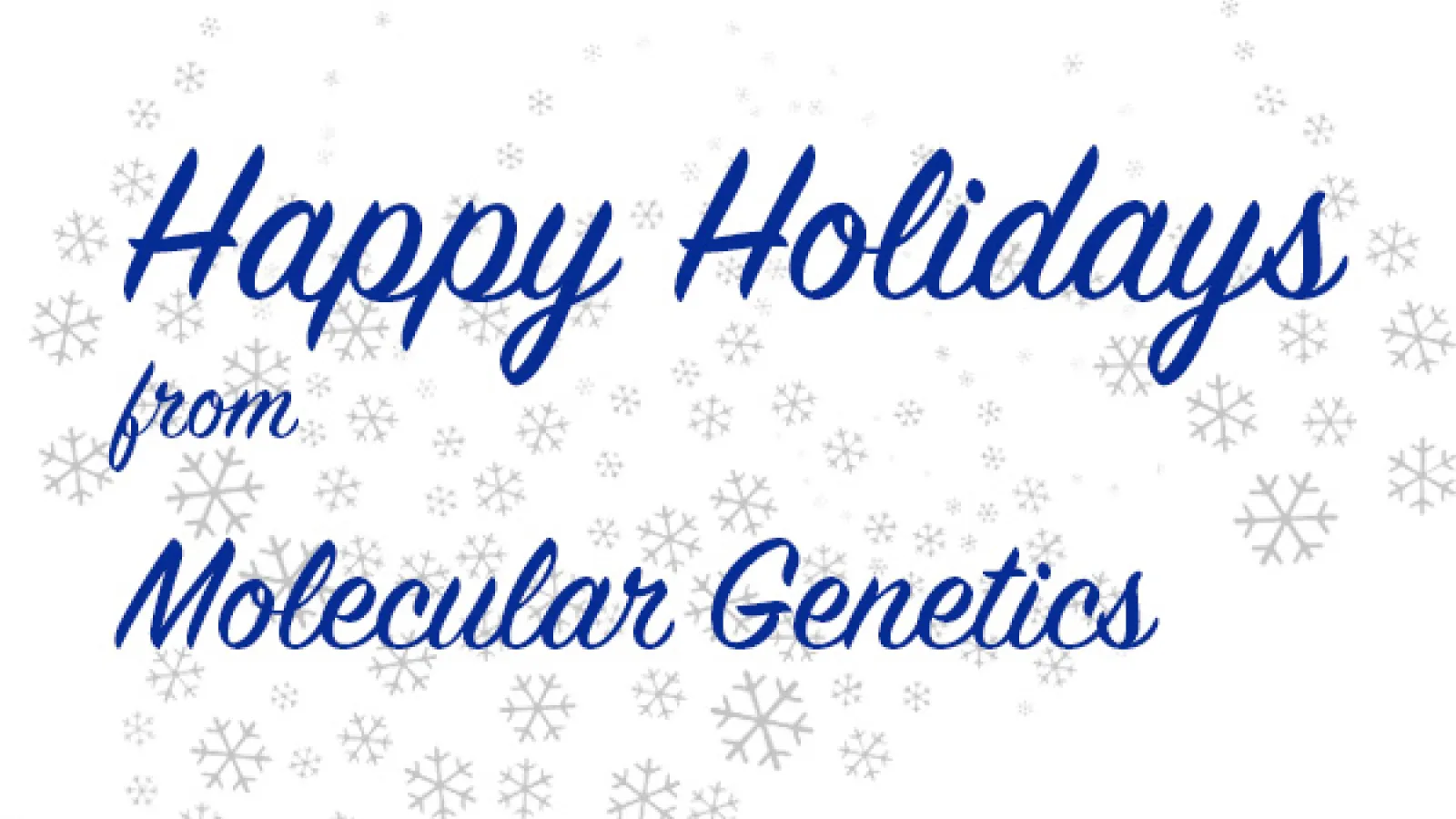 Happy Holidays