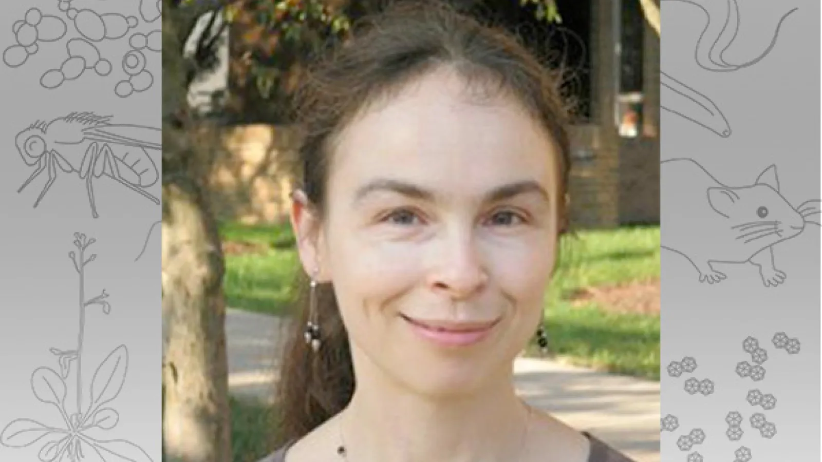 Anna Dobritsa