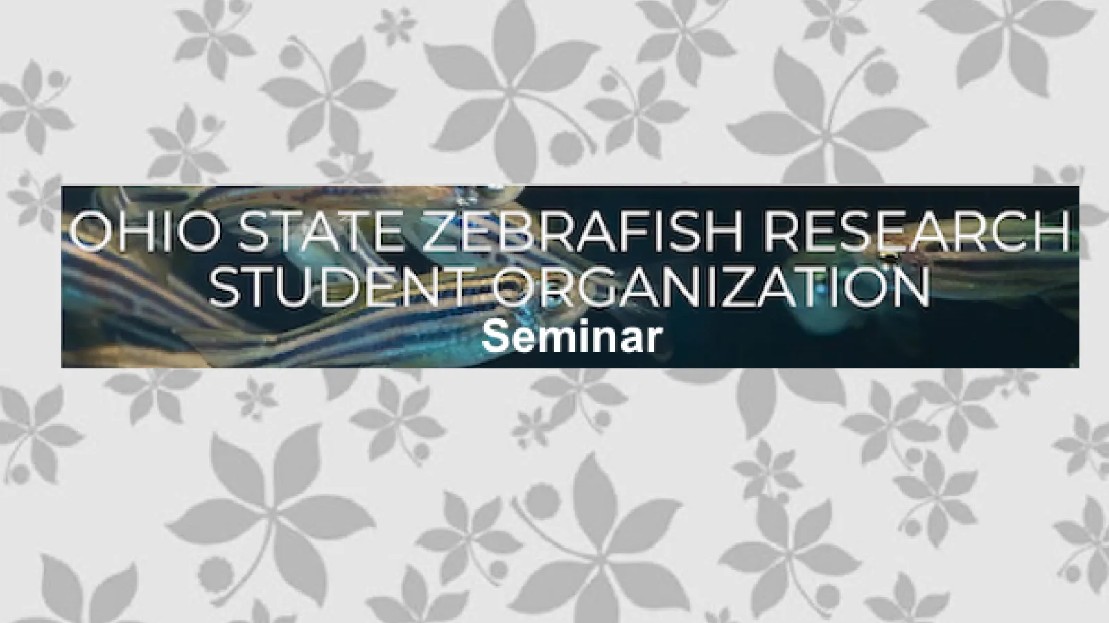 zrso seminar
