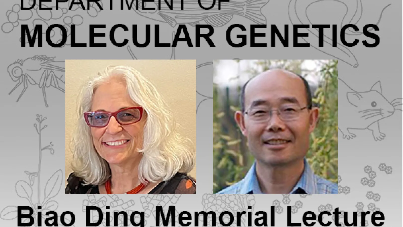 Anne Simon and Biao Ding