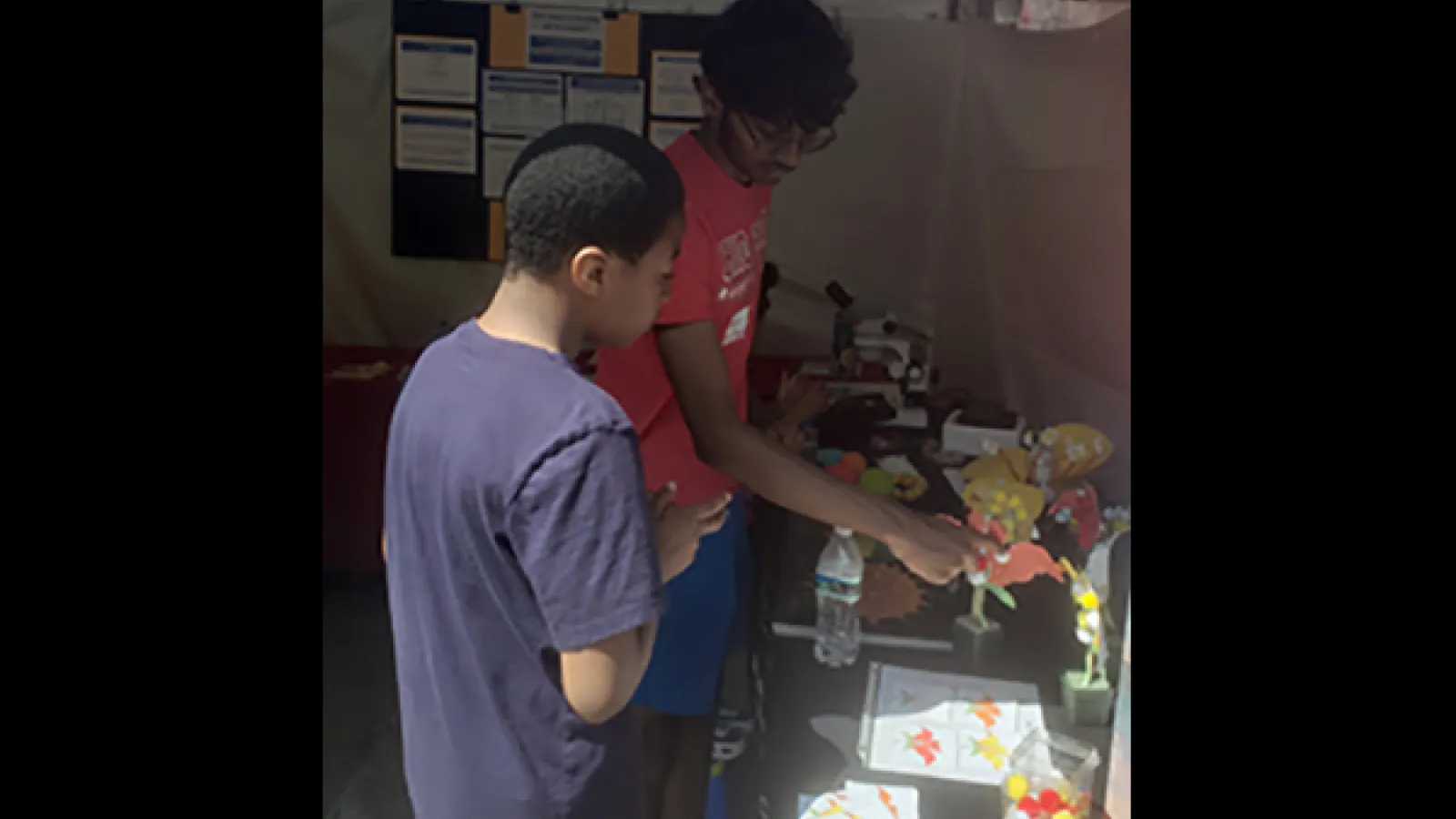 Kuppan playing more Punnet square games