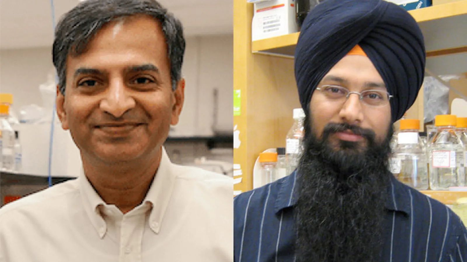 Gopalan and Singh