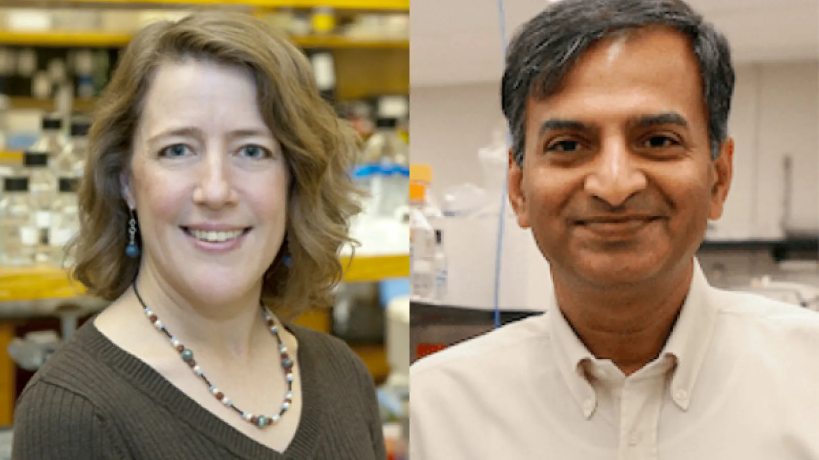 Susan Cole and Venkat Gopalan