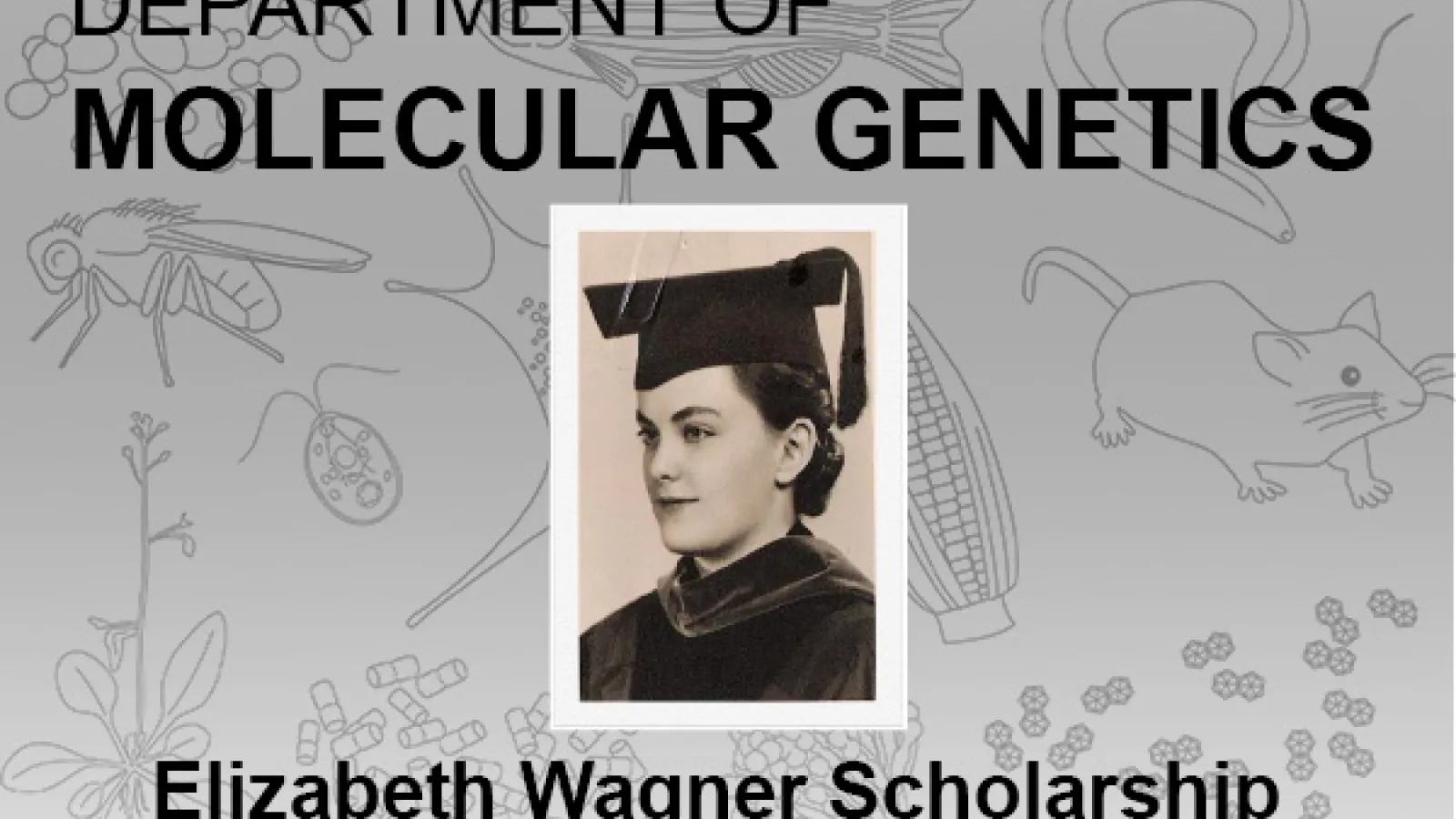 Elizabeth Wagner Scholarship 2023