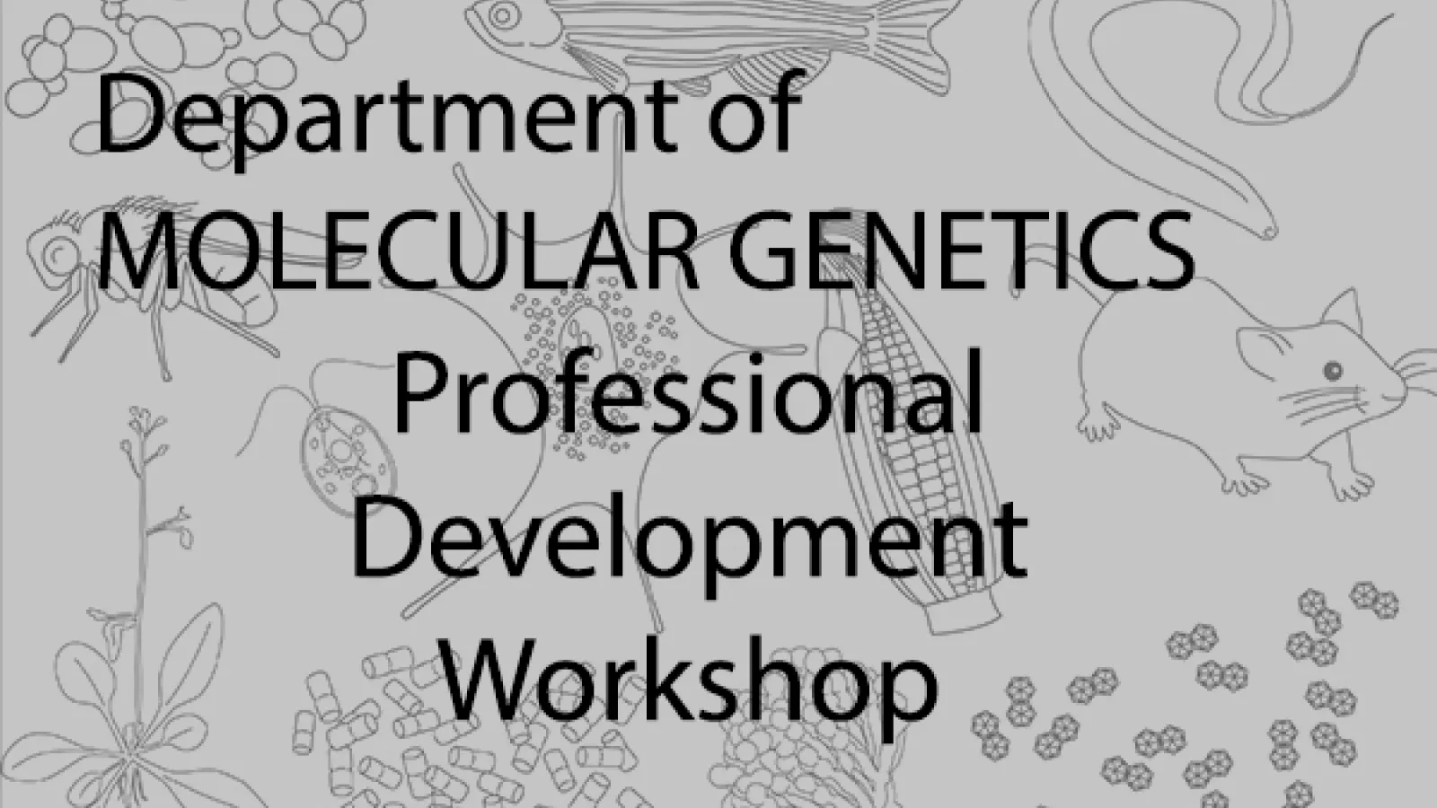 Professional Development Workshop