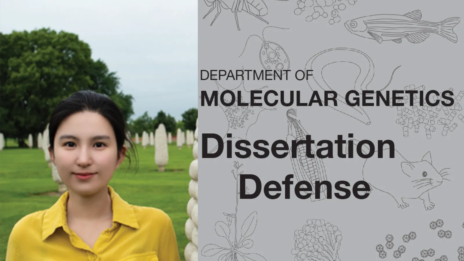 Mowei Li Dissertation Defense