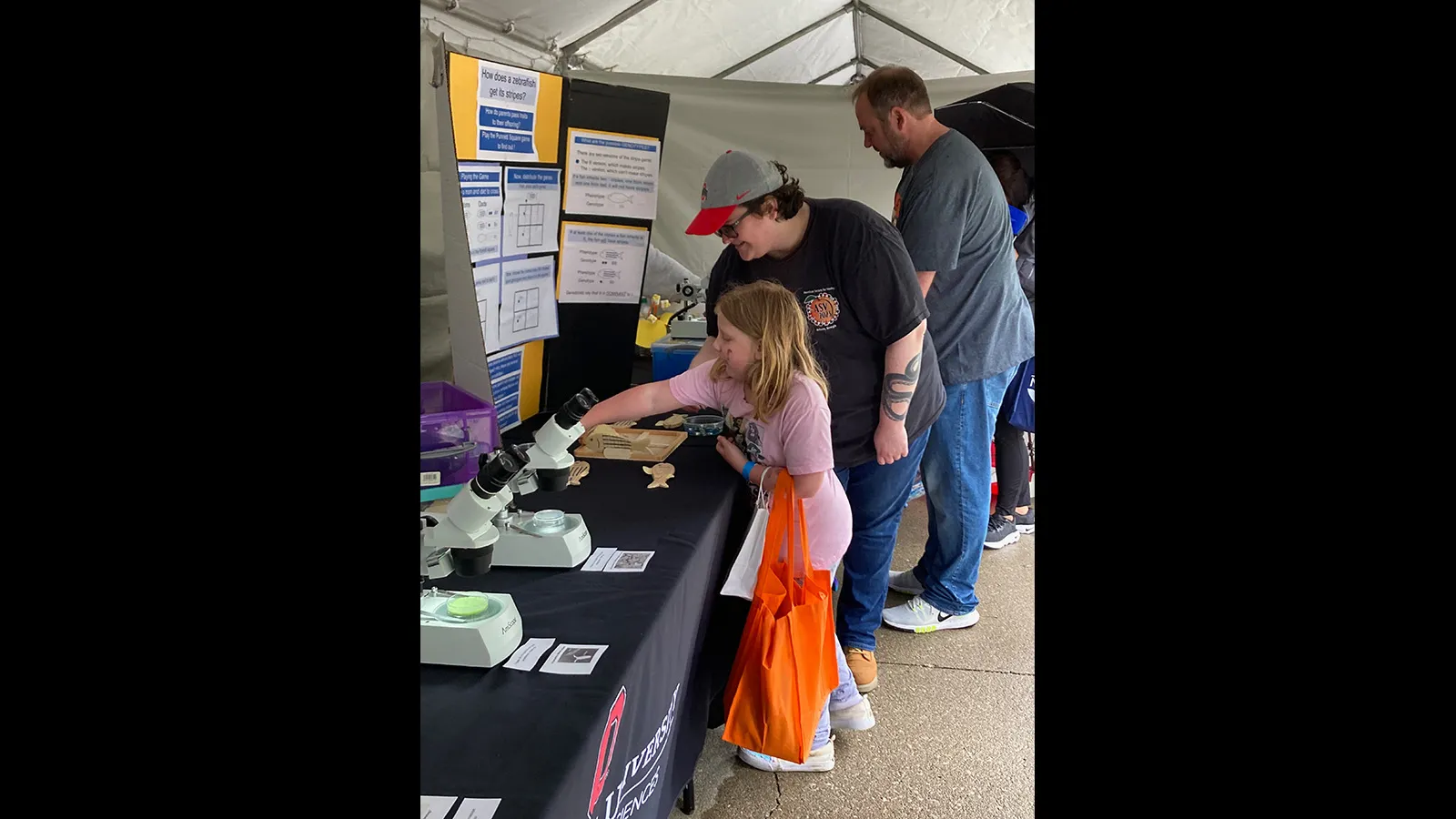 visitors engaging in FUNdanmentals of Genetics