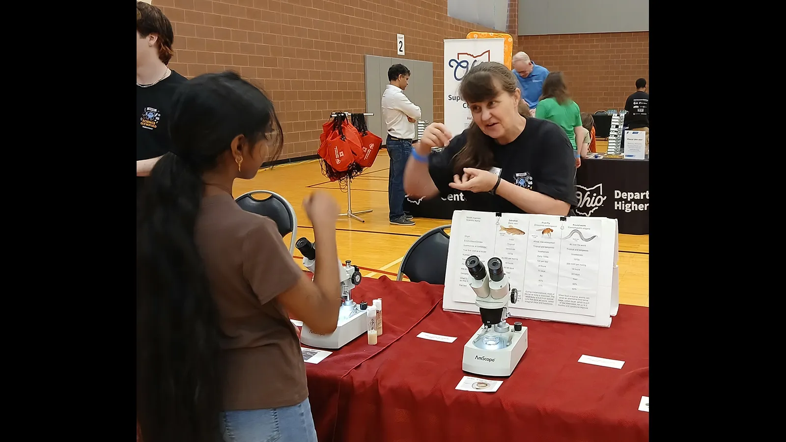 Chatting with visitors