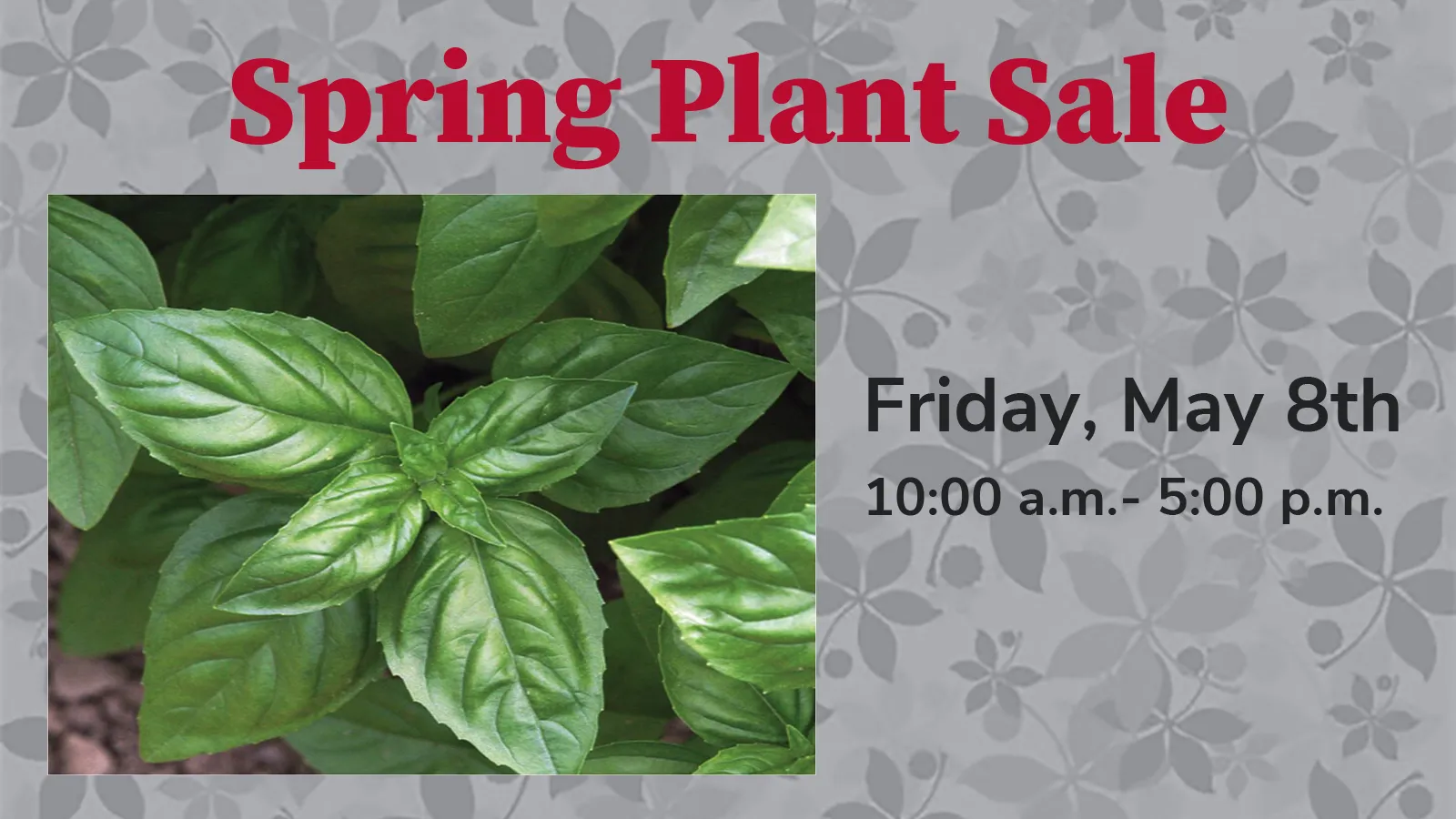 Plant sale graphic