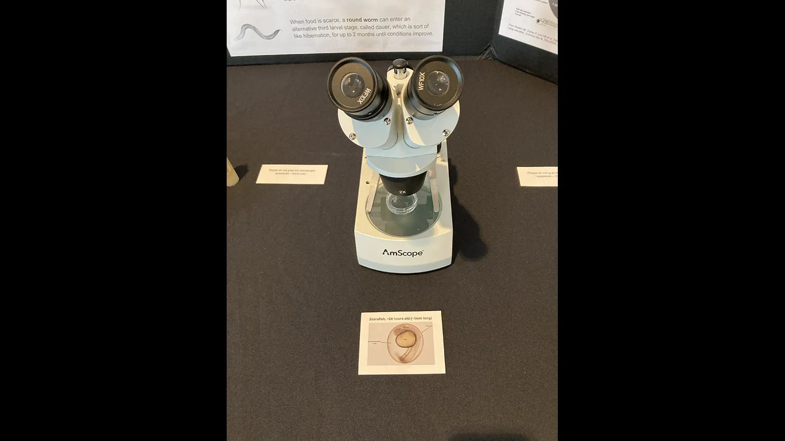 closeup of microscope