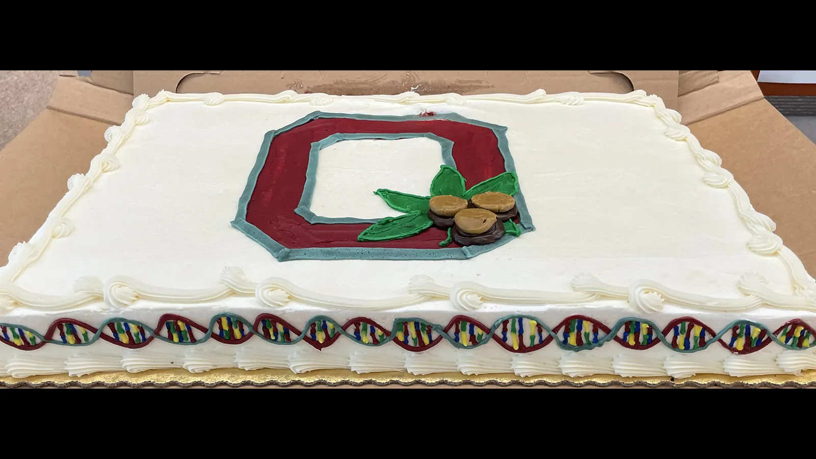A truly adorable congratulatory cake with a block O on the top and DNA along the sides.