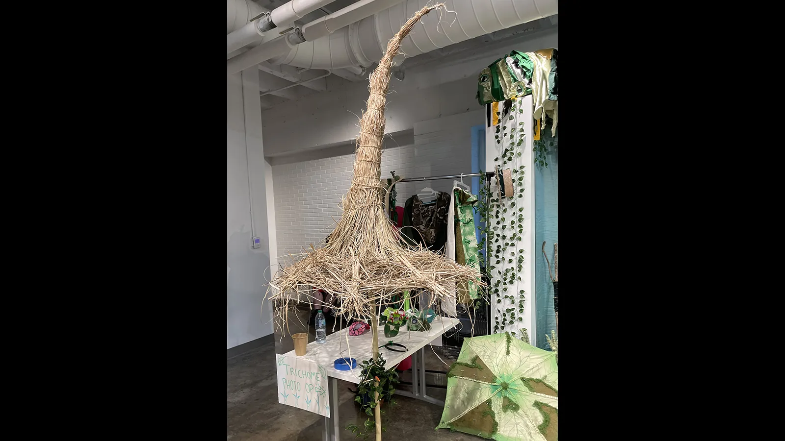 A giant straw trichome