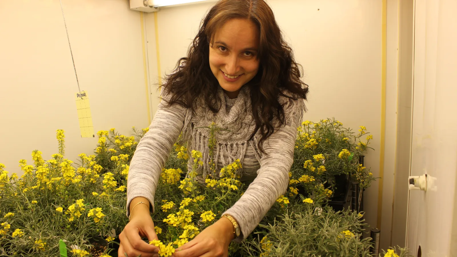 Dr. Ana Alonso