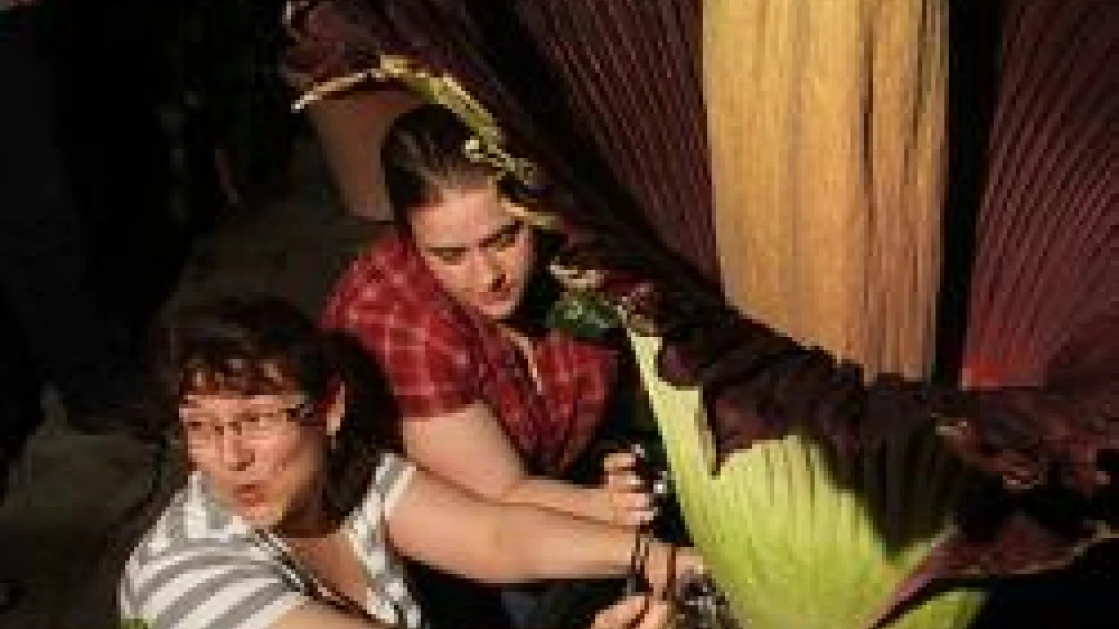 Harvesting seeds from Corpse Flower