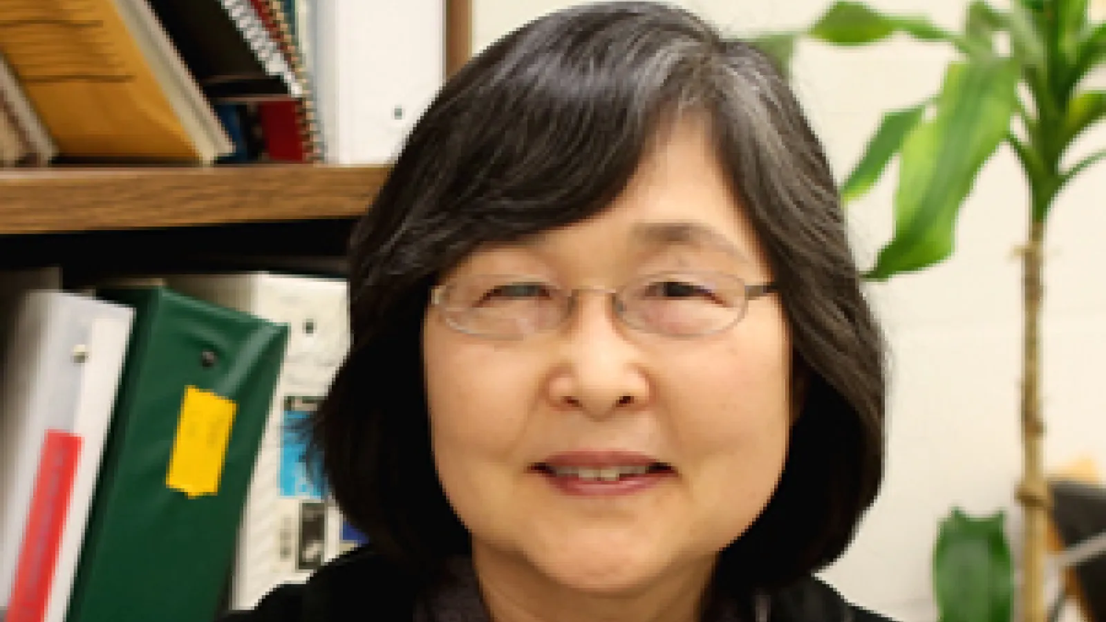 Dr. Hay-Oak Park