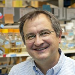 Dr. P Dr. Paul Herman