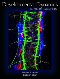 Zach and Adrienne cover art in Developmental Dynamics
