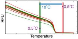 Melt Curve graph