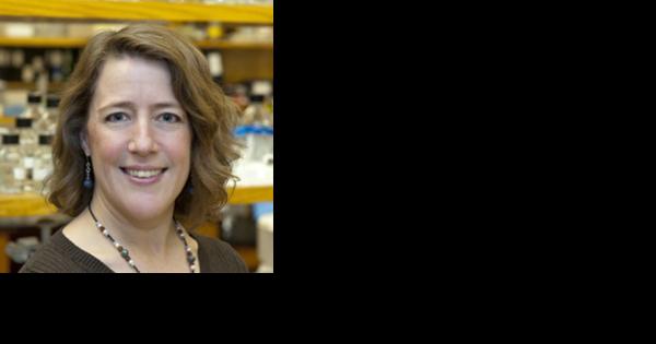 Genes and Society course highlighted by ASC | Department of Molecular ...