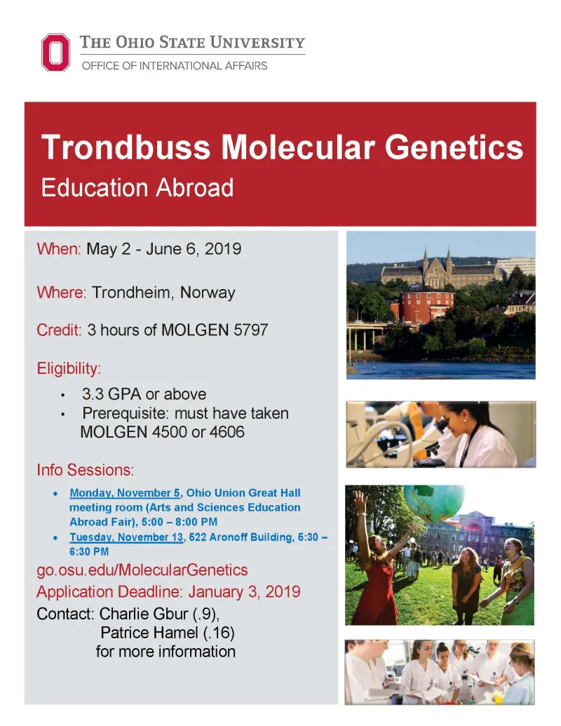 Trondbuss Flyer 2019