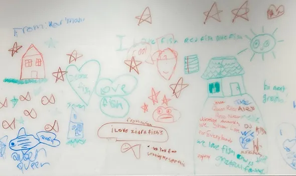 Drawings by the Hamilton STEM students