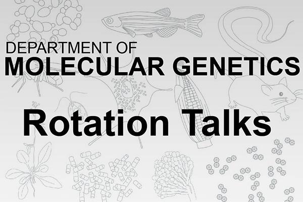 rotation talks logo