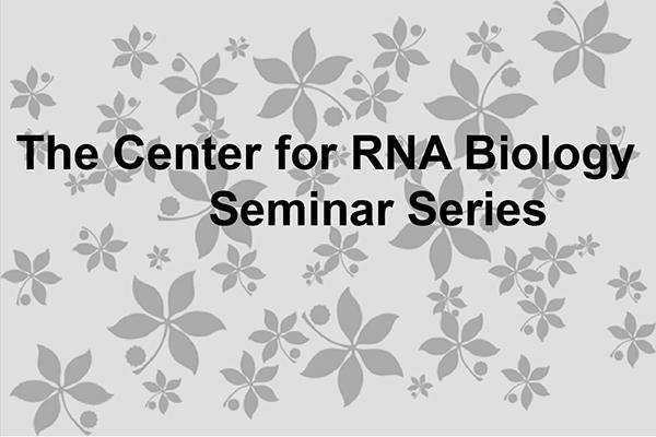 RNA center seminar