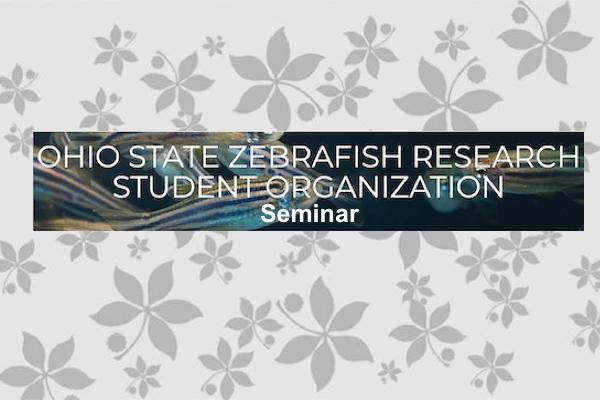 zrso seminar