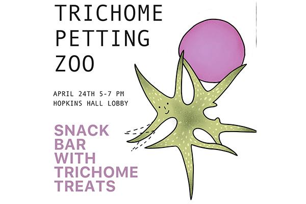 trichome Peting Zoo