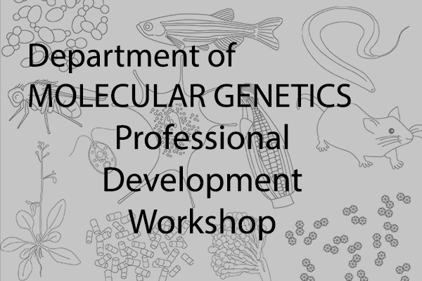 Professional Development Workshop