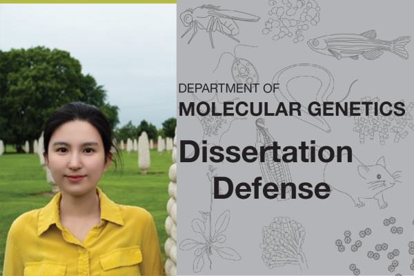 Mowei Li Dissertation Defense
