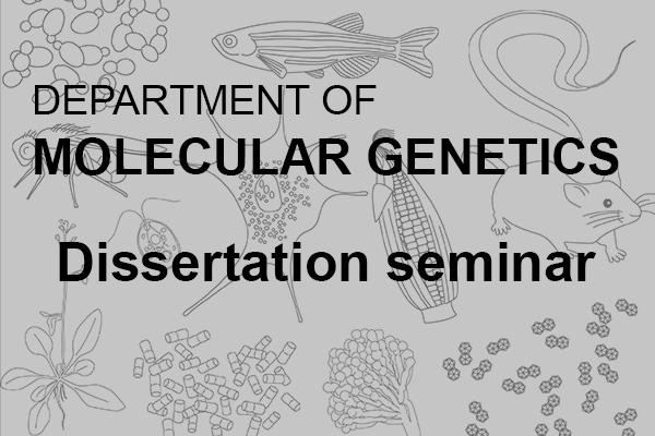 Dissertation seminar logo