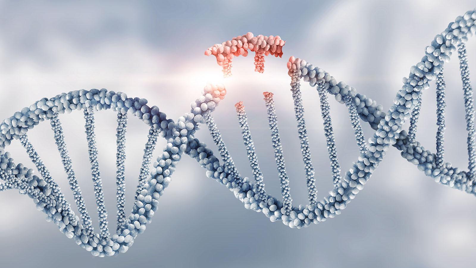 Representation of strand DNA being edited