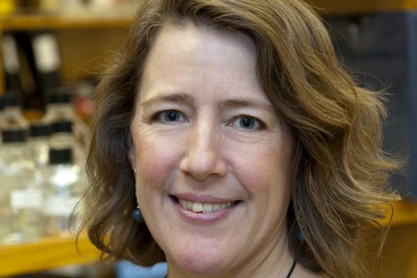 Dr. Susan Cole Dr. Susan Cole