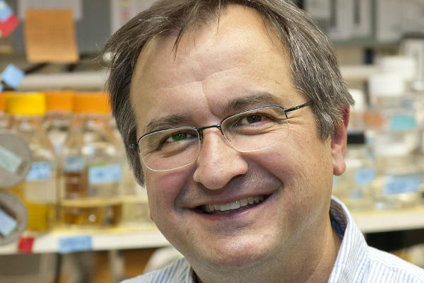 Dr. P Dr. Paul Herman