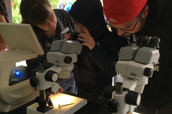 Kid using microscope