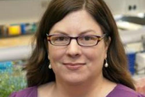 Dr. Lamb in her lab