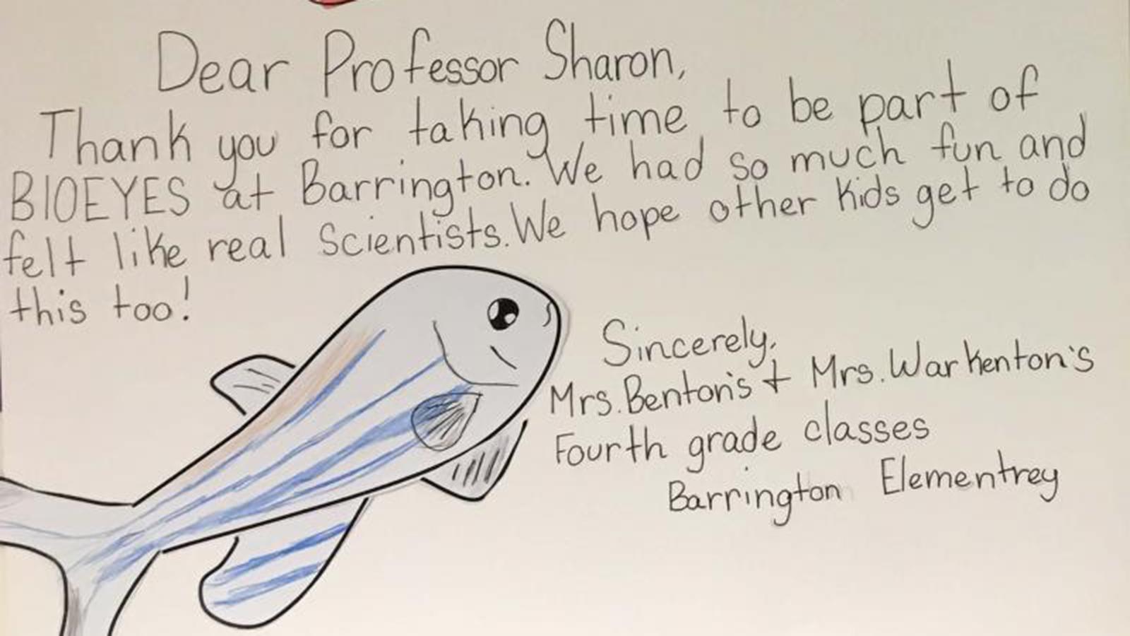 BioEYES thank you letter from Barrington Elementary School