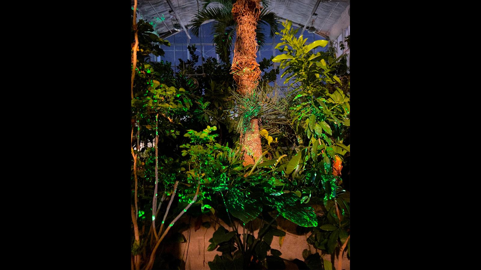 Living Art in the biological sciences greenhouse