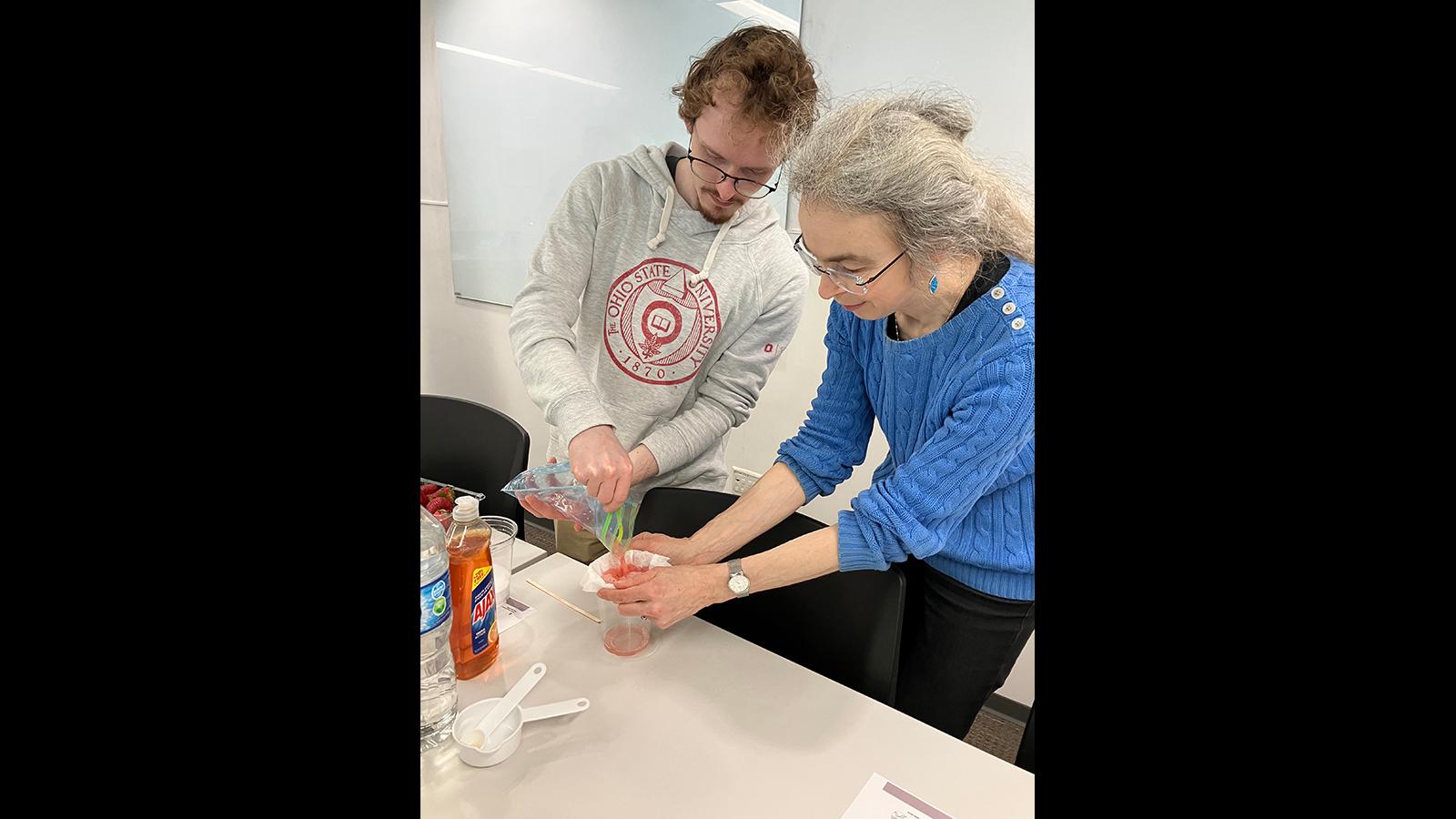 Preparation to extract DNA from fruit.