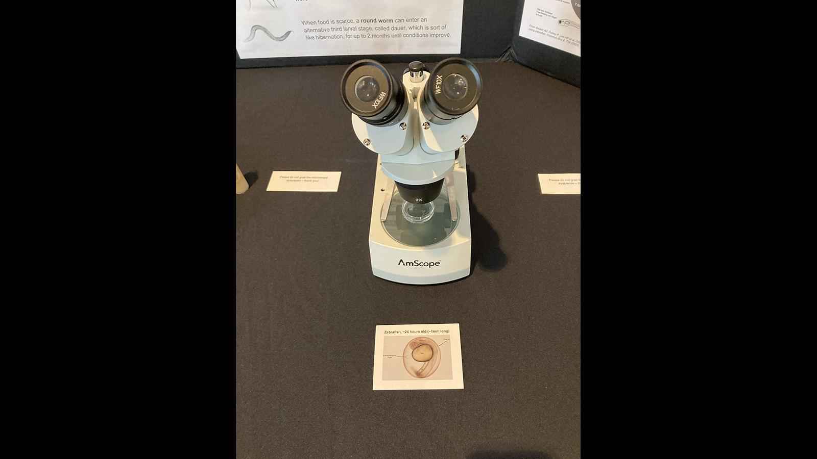closeup of microscope