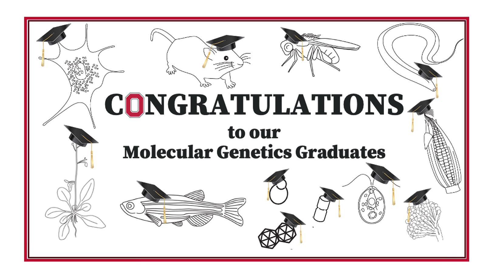 Image that says congratulations Molecular Genetics Graduates" with a Bolck O in place of the "O" It is surrounded by images of genetic research models wearing graduation caps