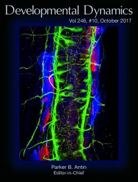 Zach and Adrienne cover art in Developmental Dynamics